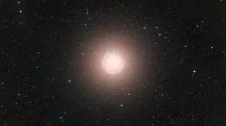 Zdjęcie Betelgezy (ESO/Digitized Sky Survey)