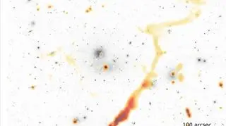 Zdjęcie gromady Abell 1314 (kolor szary) połączone z obrazem radiowym z LOFAR-a (pomarańczowy) (Rafaël Mostert/LOFAR Surveys Team/Sloan Digital Sky Survey DR13)