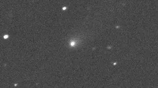 Zdjęcie komety C/2019 Q4 zrobione 10 września (Canada-France-Hawaii Telescope)