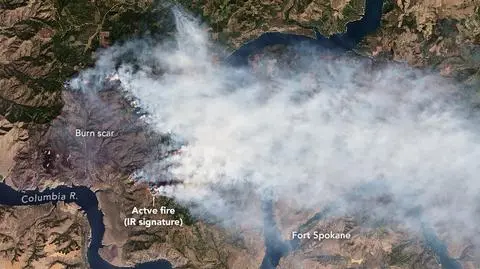 Zdjęcie satelitarne pożaru w stanie Waszyngton (NASA Earth Observatory)