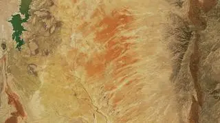 Zdjęcie satelitarne rzeki Rio Grande w pobliżu zbiornika retencyjnego Elephant Butte z 2020 roku (NASA)