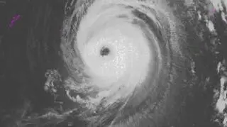 Zdjęcie satelitarne tajfunu Jebi (NOAA)