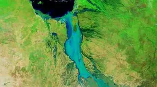 Zdjęcie satelitarne wykonane 10 lutego 2019 roku (NASA Earth Observatory, Joshua Stevens)