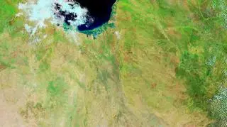 Zdjęcie satelitarne wykonane 7 stycznia 2019 roku (NASA Earth Observatory, Joshua Stevens)