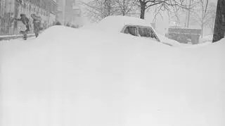 Zima Stulecia na Wierzbnie w Warszawie (NAC)