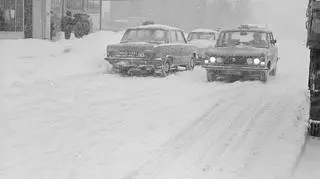 Zima Stulecia na Wierzbnie w Warszawie (NAC)