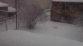 Zima w Czeladzi - phobbe
