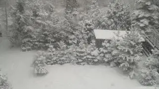 Zima w Sosnowcu