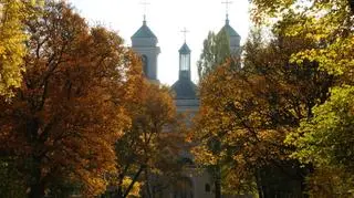 Złota polska jesień