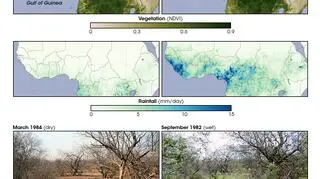 Zmiany wskaźnika NDVI w Senegalu (NASA/Robert Simmon and Jesse Allen)