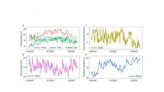 Zmienność parametrów meteorologicznych w Polsce w 2020 roku (IMGW-PIB i CMKP)
