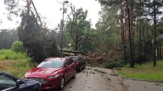 Zniszczenia po burzy w Olsztynie (Arkadiusz/Kontakt 24)