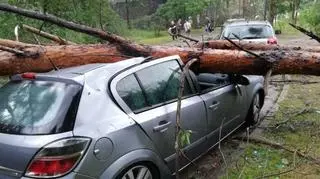 Zniszczenia po burzy w Olsztynie (Arkadiusz/Kontakt 24)