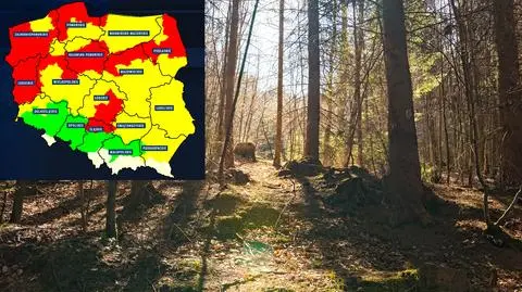 Lepiej nie wchodzić do lasu