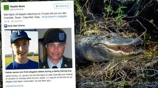 Aligator rzucił się na chłopca