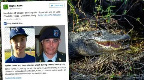 Aligator rzucił się na 13-latka i wciągnął go do wody