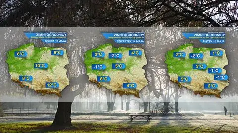 Temperatura minimalna w nadchodzących dniach