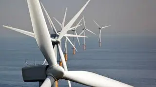 Turbiny wiatrowe są zagrożeniem dla nietoperzy