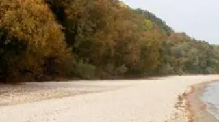 Nadbałtycka plaża jesienią