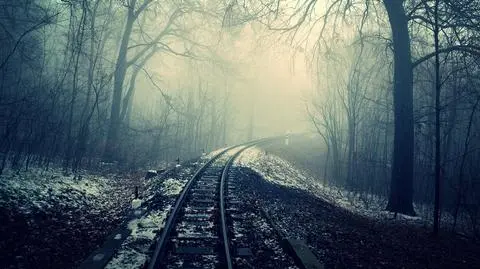 Mglisty poranek w Polsce