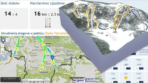 Stoki w 3D, mapy korków i śnieg. Biała Jazda w naszym portalu