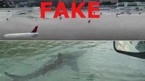 Rekin ludojad i podwodne lotnisko. Najdziwniejsze fejkowe zdjęcia po huraganie Harvey