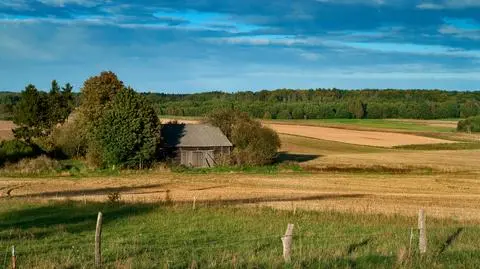 Prognoza pogody na jutro: słońca nikomu nie zabraknie