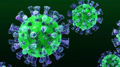 Śmiertelnie groźny koronawirus potajemnie sprowadzony do Francji