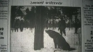 Wycinek "Dziennika Białostockiego" z 28 lutego 1928 roku
