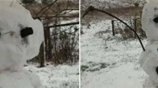 Pierwszy bałwan w Gołdapi