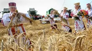 Początek zbiorów na Białorusi