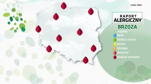 Raport alergiczny 17.04