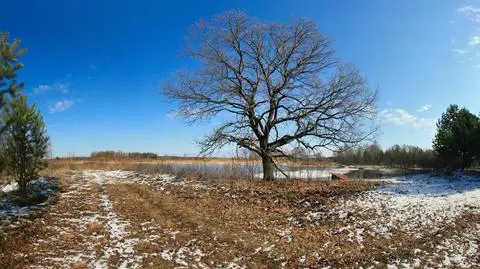 Pod koniec tygodnia niebo zacznie się przejaśniać i zza chmur wyjrzy słońce