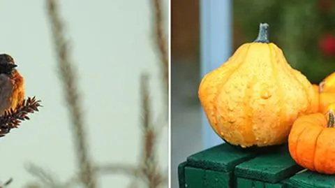 Zaczęła się jesień. Pokazaliście, jak Was przywitała