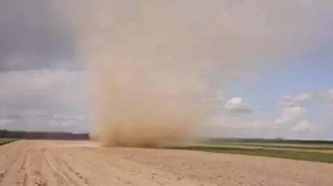 Diabełek pyłowy w Wielkopolsce