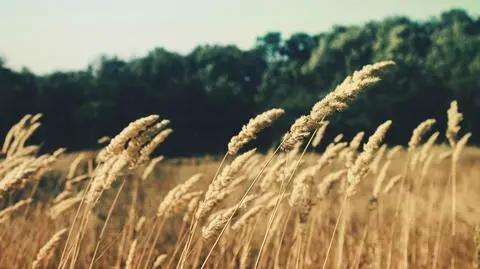 Gorący piątek