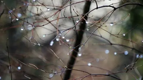 Prognoza pogody na dziś: zziębniemy i przemokniemy