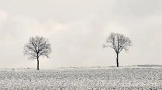 Polska zrobiła się szarobiała