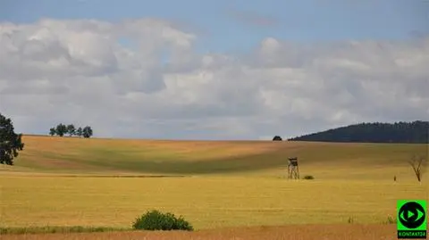 Dzień na ogół będzie pogodny