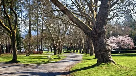 Prognoza na pięć dni: piękna pogoda powróci na weekend