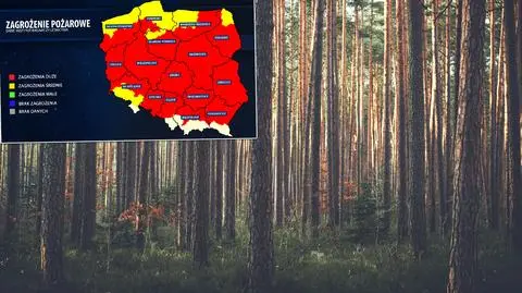 Zagrożenie pożarami w lasach
