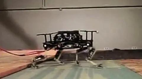 Robo-kot szybki i zwinny jak żywy kot