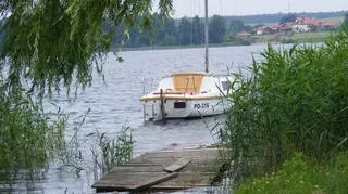 Żaglówka w polskich szuwarach