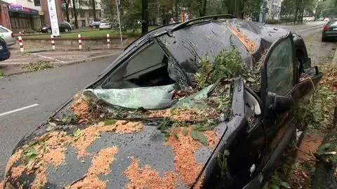 Warszawski pejzaż: powyrywane drzewa, zniszczone samochody i zalane ulice 