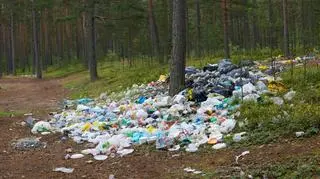 Dzikie wysypiska można spotkać w wielu lasach