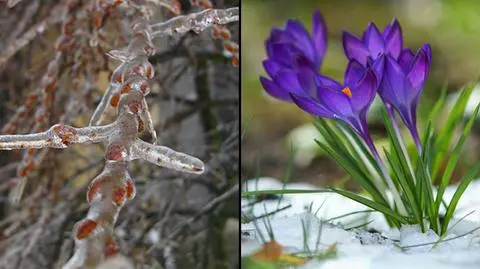 Ta zima do normalnych nie należała. Podsumowanie synoptyka TVN Meteo