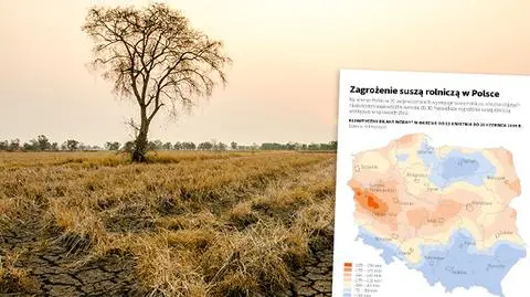 susza w Polsce