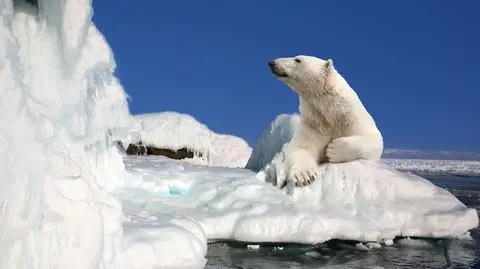 Globalne ocieplenie? Badacz podaje, że od 12 lat jest trend obniżania się temperatury