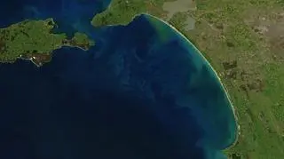 Fitoplankton u wybrzeża Australii Południowej