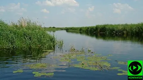 Słoneczne chwile w Polsce